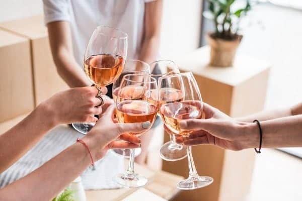 Women drinking wine at home.