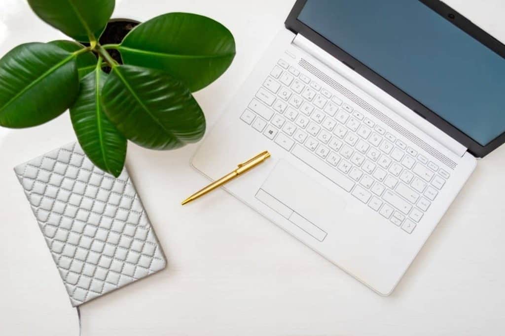 Home office desktop with laptop, ficus plant, notepad, and pen