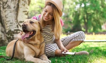 Image of a woman walking a dog in the park, using a phone.